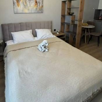 Сдается 1-комнатная квартира, 29 м²