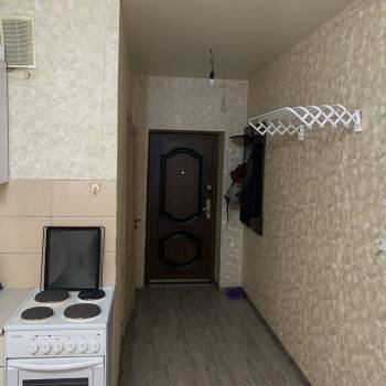 Сдается 1-комнатная квартира, 24,4 м²