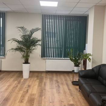 Сдается Нежилое помещение, 40 м²