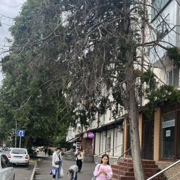 Сдается Нежилое помещение, 45 м²