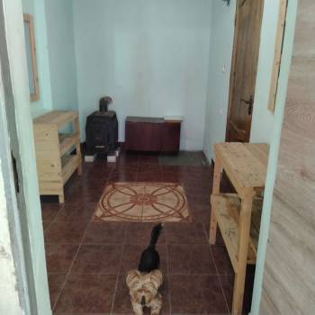 Сдается Дом, 38 м²