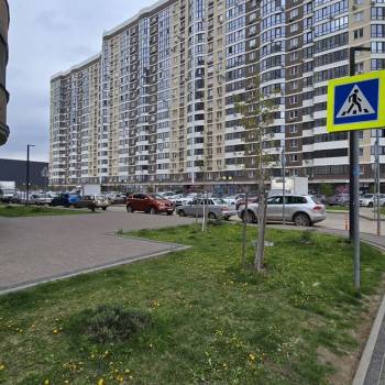 Сдается Нежилое помещение, 66,3 м²