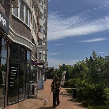 Сдается Нежилое помещение, 42 м²