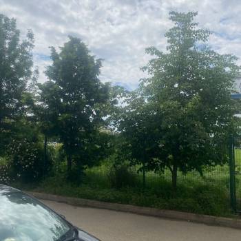 Продается Участок, 1400 м²