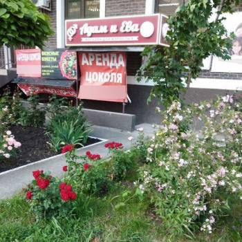 Сдается Нежилое помещение, 20 м²