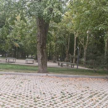 Сдается Нежилое помещение, 100 м²