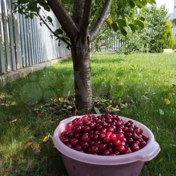Продается Дом, 345 м²