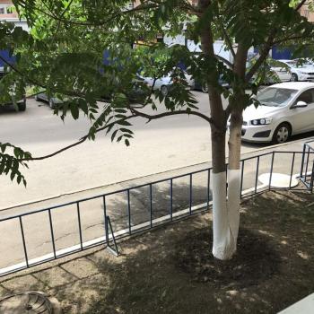 Сдается 2-х комнатная квартира, 56 м²