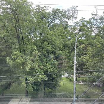 Сдается Офис, 12 м²