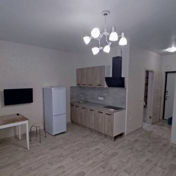Сдается 1-комнатная квартира, 26,8 м²