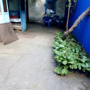 Сдается Дом, 55 м²