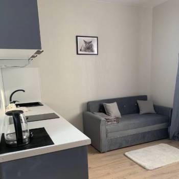 Сдается 1-комнатная квартира, 24 м²