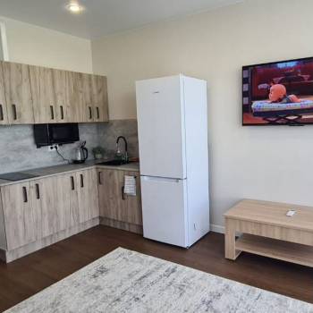 Сдается 1-комнатная квартира, 26 м²