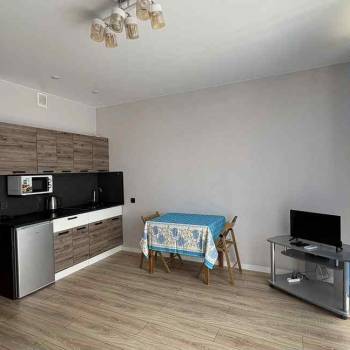 Сдается 1-комнатная квартира, 27 м²