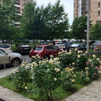 Сдается 2-х комнатная квартира, 60 м²