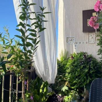 Продается 3-х комнатная квартира, 95 м²