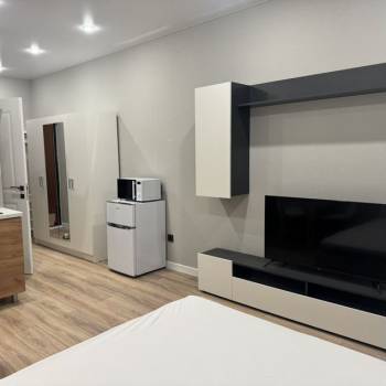 Сдается 1-комнатная квартира, 21,8 м²