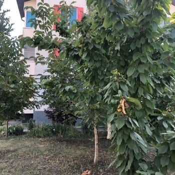 Продается 1-комнатная квартира, 40 м²