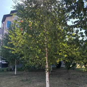 Продается 1-комнатная квартира, 40 м²
