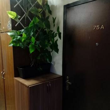 Продается 1-комнатная квартира, 18 м²
