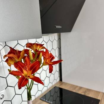 Сдается 1-комнатная квартира, 26,3 м²