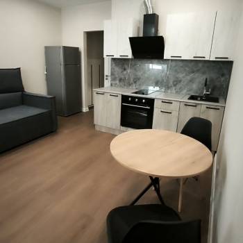Сдается 1-комнатная квартира, 24,3 м²