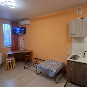 Продается 1-комнатная квартира, 25,4 м²