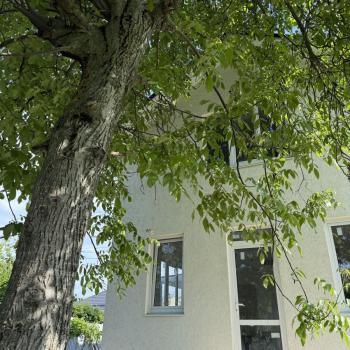 Продается Дом, 116 м²