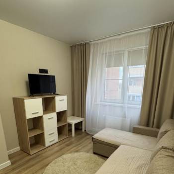 Сдается 1-комнатная квартира, 24,8 м²
