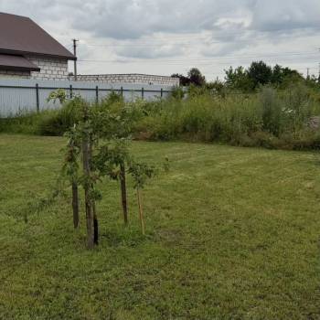 Продается Участок, 1000 м²