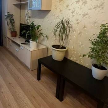 Сдается 1-комнатная квартира, 27 м²