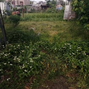 Сдается Дом, 50 м²