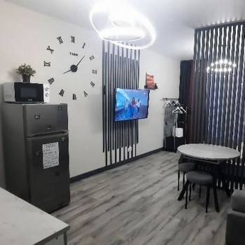 Продается 1-комнатная квартира, 29,2 м²
