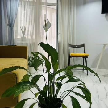 Сдается 1-комнатная квартира, 45 м²