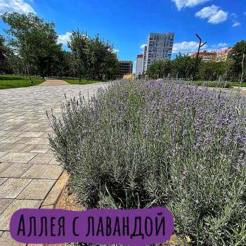 Продается 3-х комнатная квартира, 101 м²