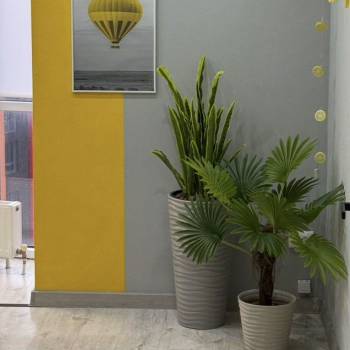 Сдается Офис, 50 м²