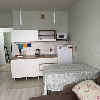 Сдается 1-комнатная квартира, 24,6 м²