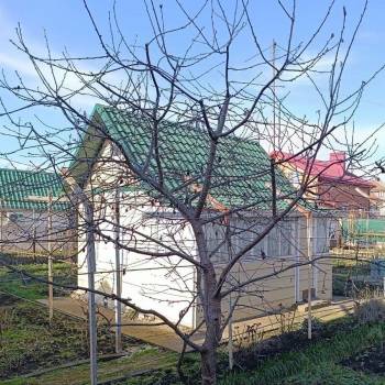 Продается Участок, 600 м²