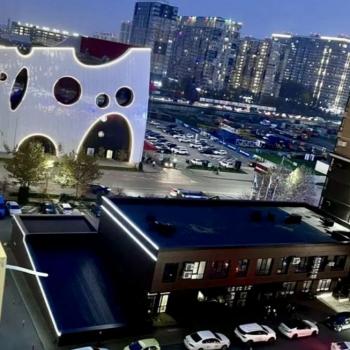 Сдается 1-комнатная квартира, 24,9 м²