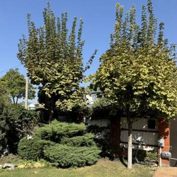 Сдается Дом, 180 м²