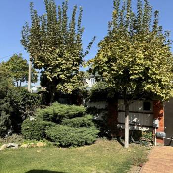 Сдается Дом, 180 м²