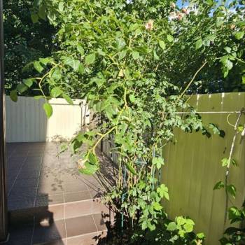 Продается Дом, 65 м²