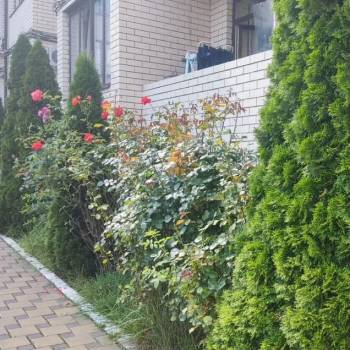 Продается 1-комнатная квартира, 43,1 м²