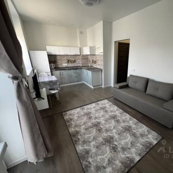 Сдается 1-комнатная квартира, 26 м²