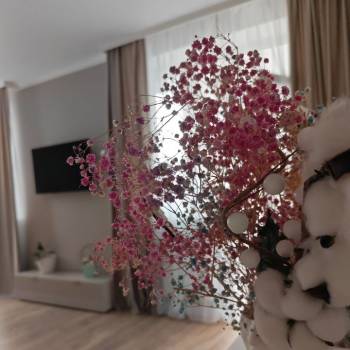Сдается 2-х комнатная квартира, 55 м²