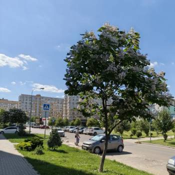 Продается 1-комнатная квартира, 26,2 м²