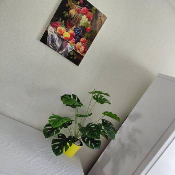 Сдается Комната, 78 м²