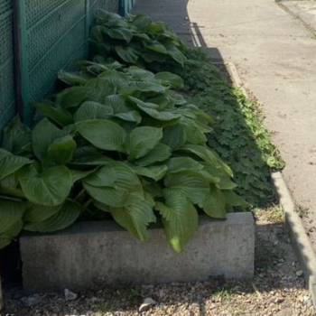 Продается Дом, 40 м²