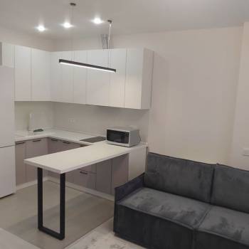 Сдается 1-комнатная квартира, 25,5 м²