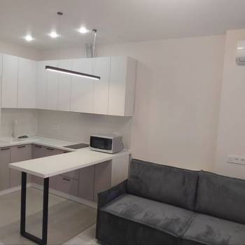 Сдается 1-комнатная квартира, 25,5 м²
